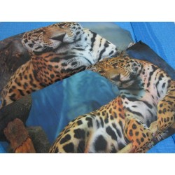 Double Bed Set in Digital...