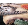 Plaid blanket in very soft and warm microfibre with CATS AND ELBOW design. Size: 140x170 with padded back in solid color.