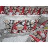 Doppelbett-Bettbezug + Kissenbezüge, 100 % Flanell, Motiv: Roter Zwerg....HERGESTELLT IN ITALIEN!!!