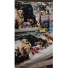 Housse de couette + taies d'oreiller 100% coton avec impression numérique design DOG FAMILY.... Dans toutes les tailles.!!!