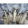 Housse de couette + taies d'oreiller 100% coton Design PINGOUINS. HIVER POLAIRE Taille simple-double-carré.... FABRIQUÉ EN