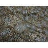 LEOPARD TIGER FANTASY-BETTWÄSCHE KOMPLETTES DOPPEL – HALF FRENCH SQUARE 100 % Naturfaser-Baumwolle...!!!!