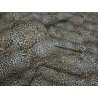 Completo letto Fantasia TIGRATO LEOPARDATO Misura:Piazza Mezza ..100% Cotone Fibra Naturale...!!!!