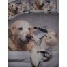 Single Duvet Cover + Pillowcases 100% Cotton With Digital Print DOG AND CAT Design...!!!