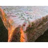 Nappe rectangulaire en coton plastifié. Motif FEUILLES COULEURS..100% HYDROFUGE.MADE IN ITALY!!!!