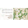 Teppich als Meterware mit PEACH BLOSSOM-Design aus wasserabweisendem nautischem Stoff. 0,11 Cent pro Meter. HERGESTELLT IN