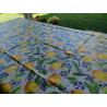 Rectangular Plastic Tablecloth with LEMON Pattern in all sizes..MADE IN ITALY..