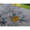 Tovaglia Rettangolare In Plastica Idrorepellente Disegno Con STAMPA FLOREALE .. In Tutte le Misure ..MADE IN ITALY..
