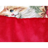 Pillowcase Digitally Printed Design CAT AND GIFT PACKAGES Size: 50x50...100% Cotton Lurex Yarn...MADE IN ITALY