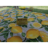 Rectangular Cotton Tablecloth LEMON Design..In All Sizes....MADE IN ITALY!!!!!