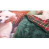 Plaid Coperta in Morbidissima e Calda Microfibra Con Retro Con Pelliccia Disegno FAMIGLIA DI CANI Misura:140x170